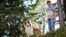 Lassie – Ein neues Abenteuer
